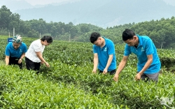 Phát huy nội lực, nâng tầm nông thôn mới