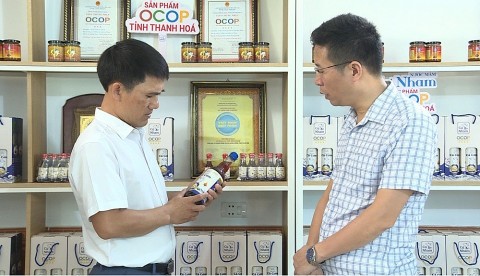 thanh hoa ocop doi moi tu duy nang suc canh tranh tren thi truong