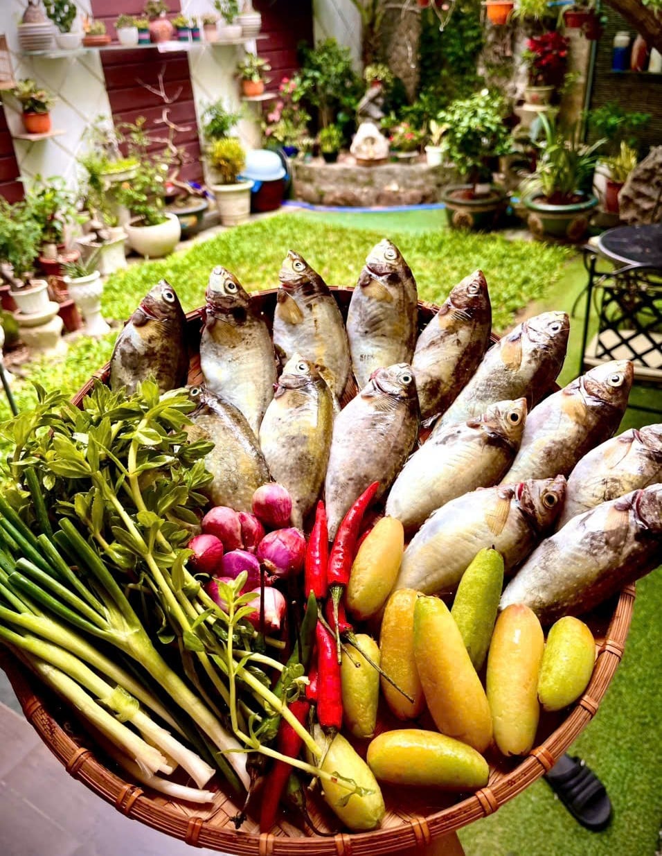 Đánh thức giá trị bản địa, mở hướng sinh kế bền vững cho người nông dân