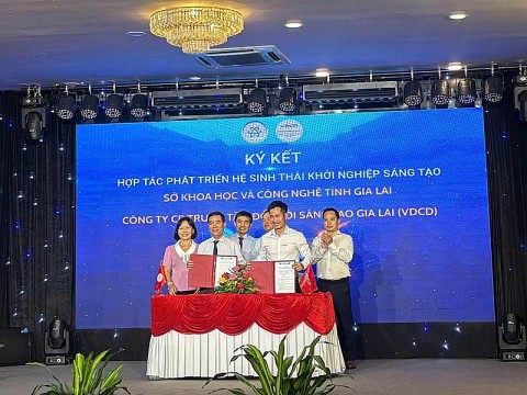 gia lai to chuc hoi thao truyen thong chinh sach ve khoi nghiep sang tao