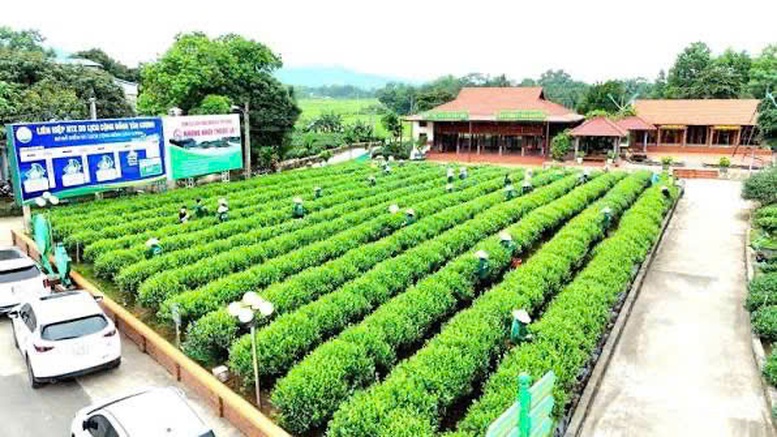 Phát huy giá trị văn hóa bản địa từ mô hình du lịch cộng đồng ở Thái Nguyên