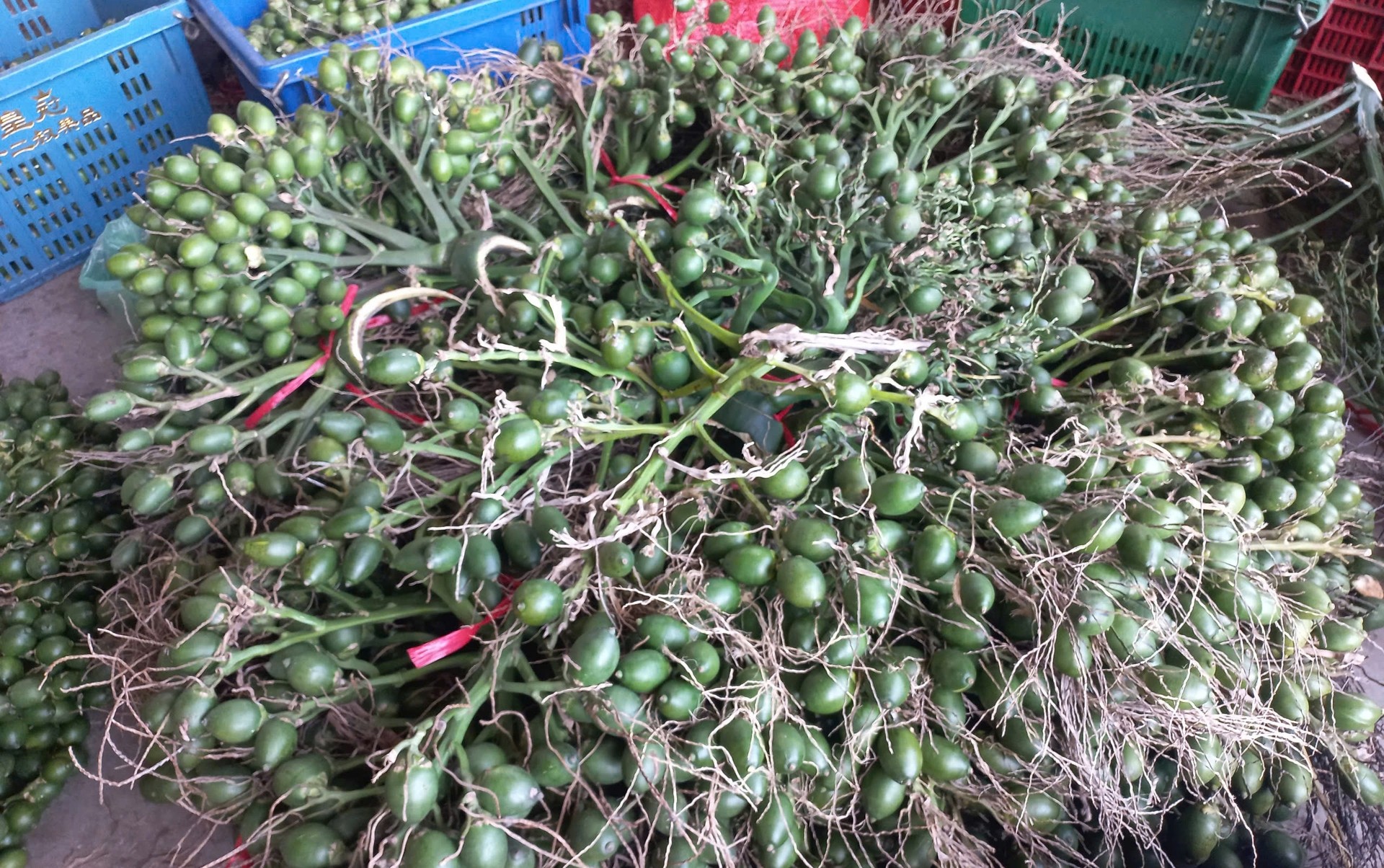 Làng cau Cao Nhân Đặc trưng của làng quê Việt