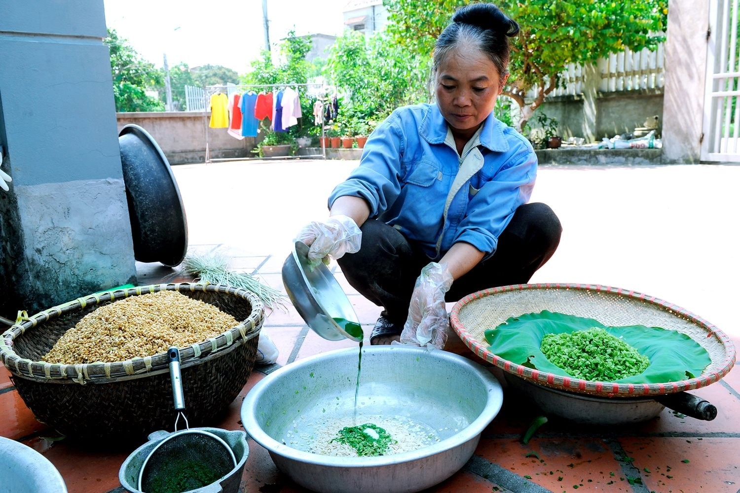 Hương cốm nếp làng Thạc