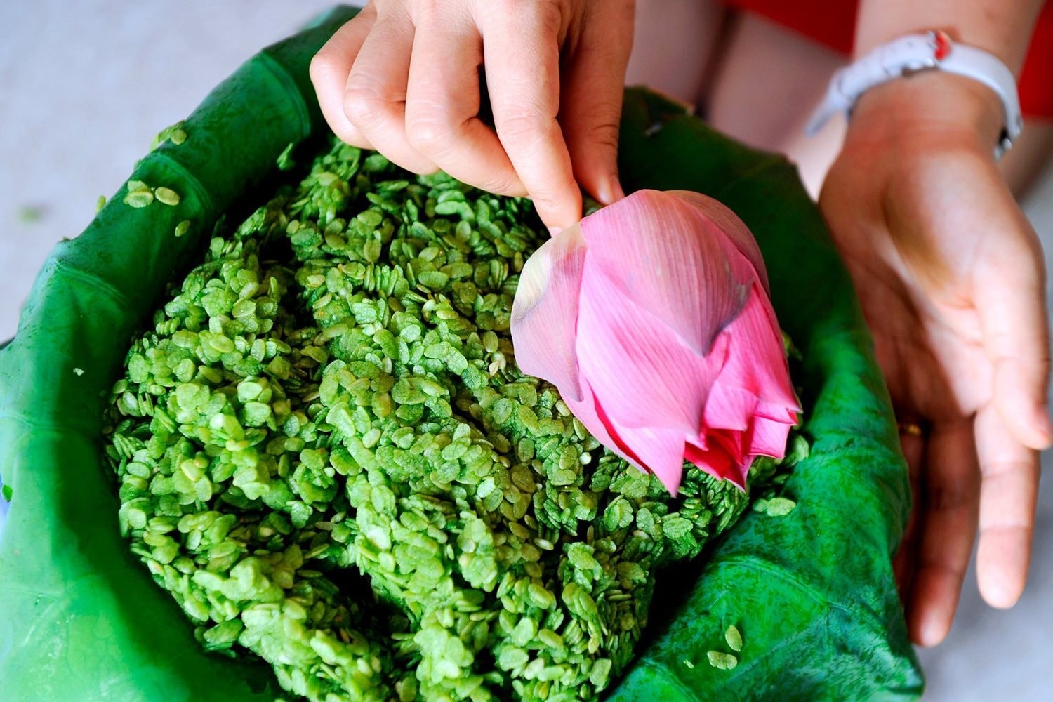 Hương cốm nếp làng Thạc