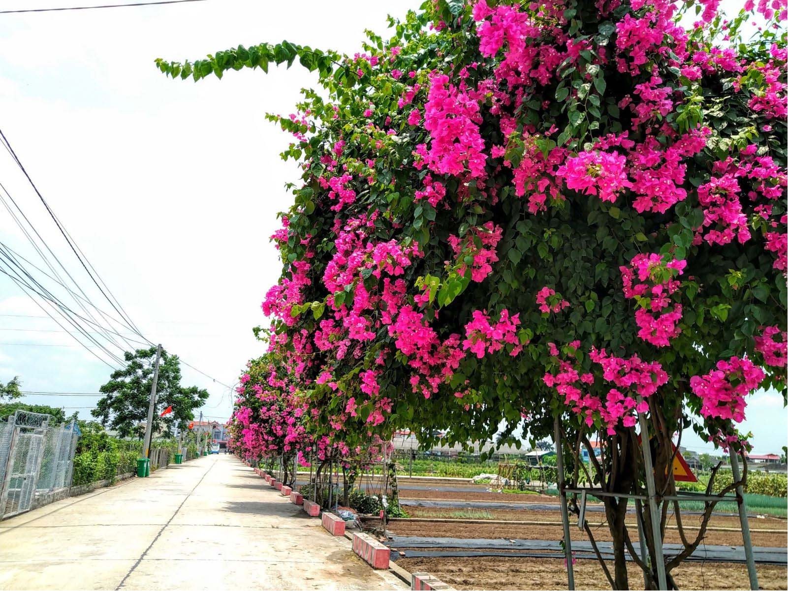 Làng nghề Hồng Vân - Nơi giữ gìn nét đẹp truyền thống và du lịch sinh thái