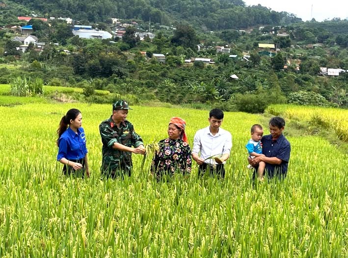 Đẩy nhanh tiến độ xây dựng nông thôn mới 2026-2030