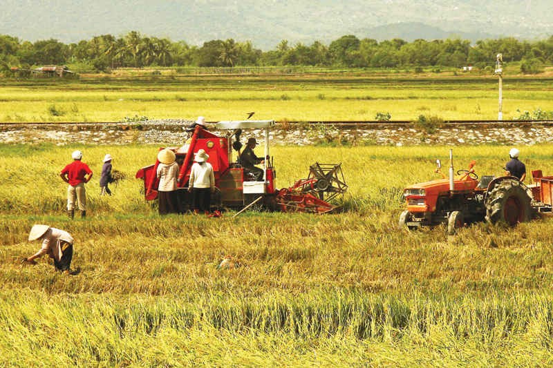 Khi dòng vốn công nghệ chảy về làng: Bước chuyển mình của kinh tế nông thôn