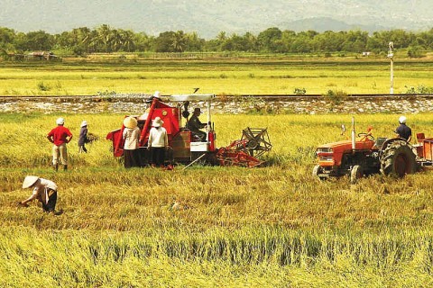 khi dong von cong nghe chay ve lang buoc chuyen minh cua kinh te nong thon