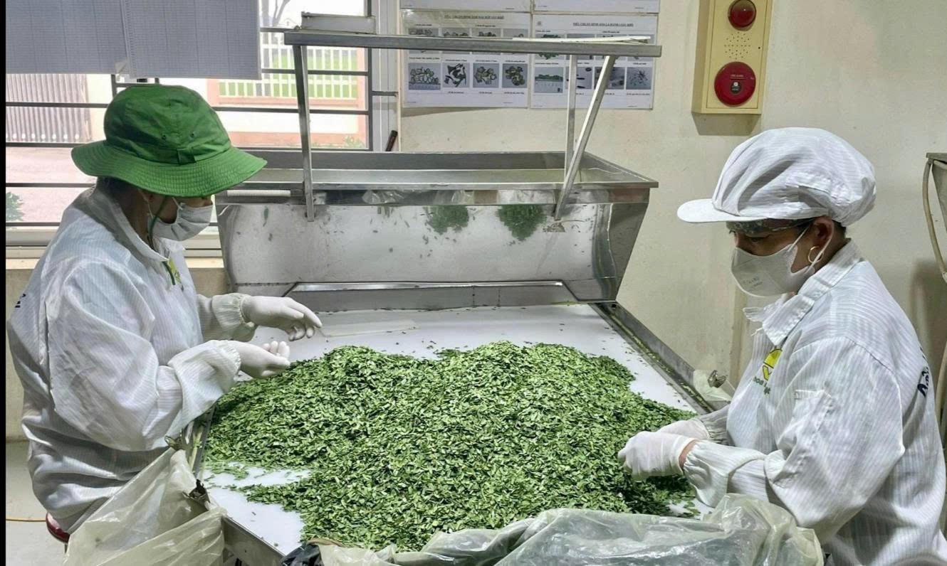 Công ty TNHH một thành viên Vũ Công có 7 sản phẩm OCOP từ nông sản địa phương. Công ty TNHH một thành viên Vũ Công có 7 sản phẩm OCOP từ nông sản địa phương.