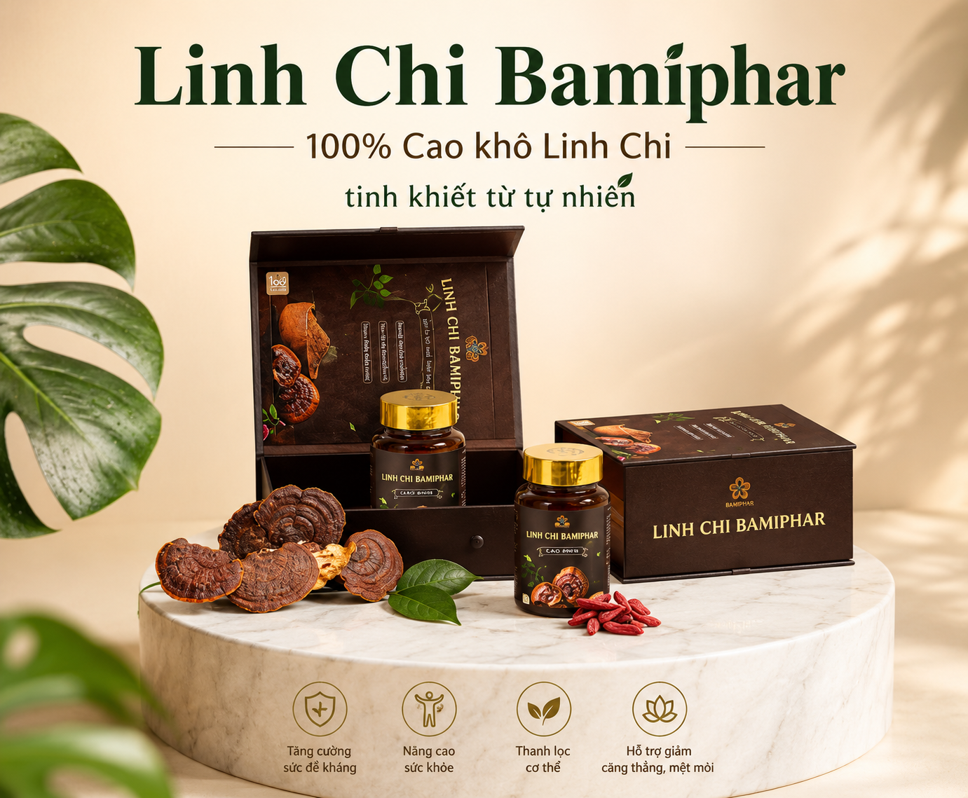 linh chi bamiphar khat vong vuon tam quoc te tu tinh hoa duoc lieu viet