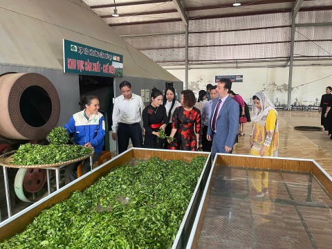 thai nguyendong luc tu danh hieu san pham cong nghiep nong thon tieu bieu cap quoc gia