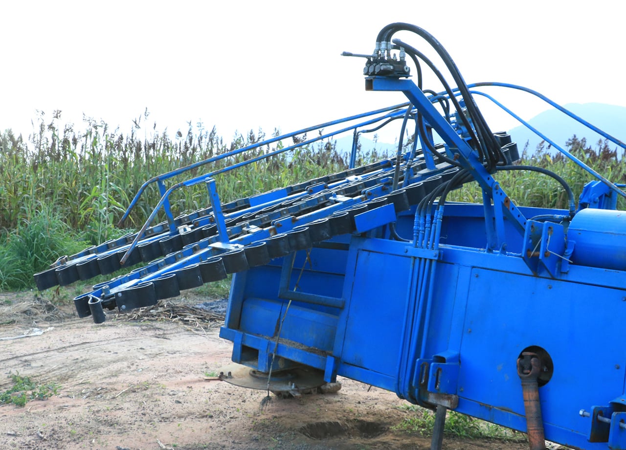 Ứng dụng công nghệ cao, gia tăng giá trị cây cao lương
