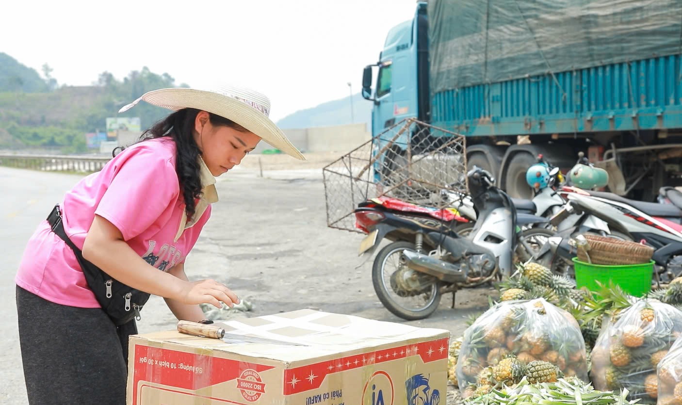 Mùa “dứa nữ hoàng” ở Na Sang (Điện Biên)