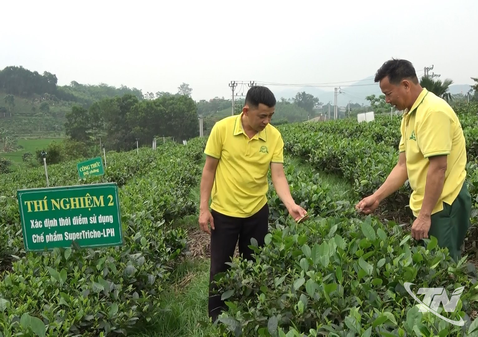 OCOP Thái Nguyên: Khẳng định vị thế từ chất lượng bền vững