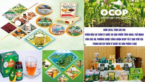 ocop lao cai chuyen minh voi tu duy xanh va thuong mai so