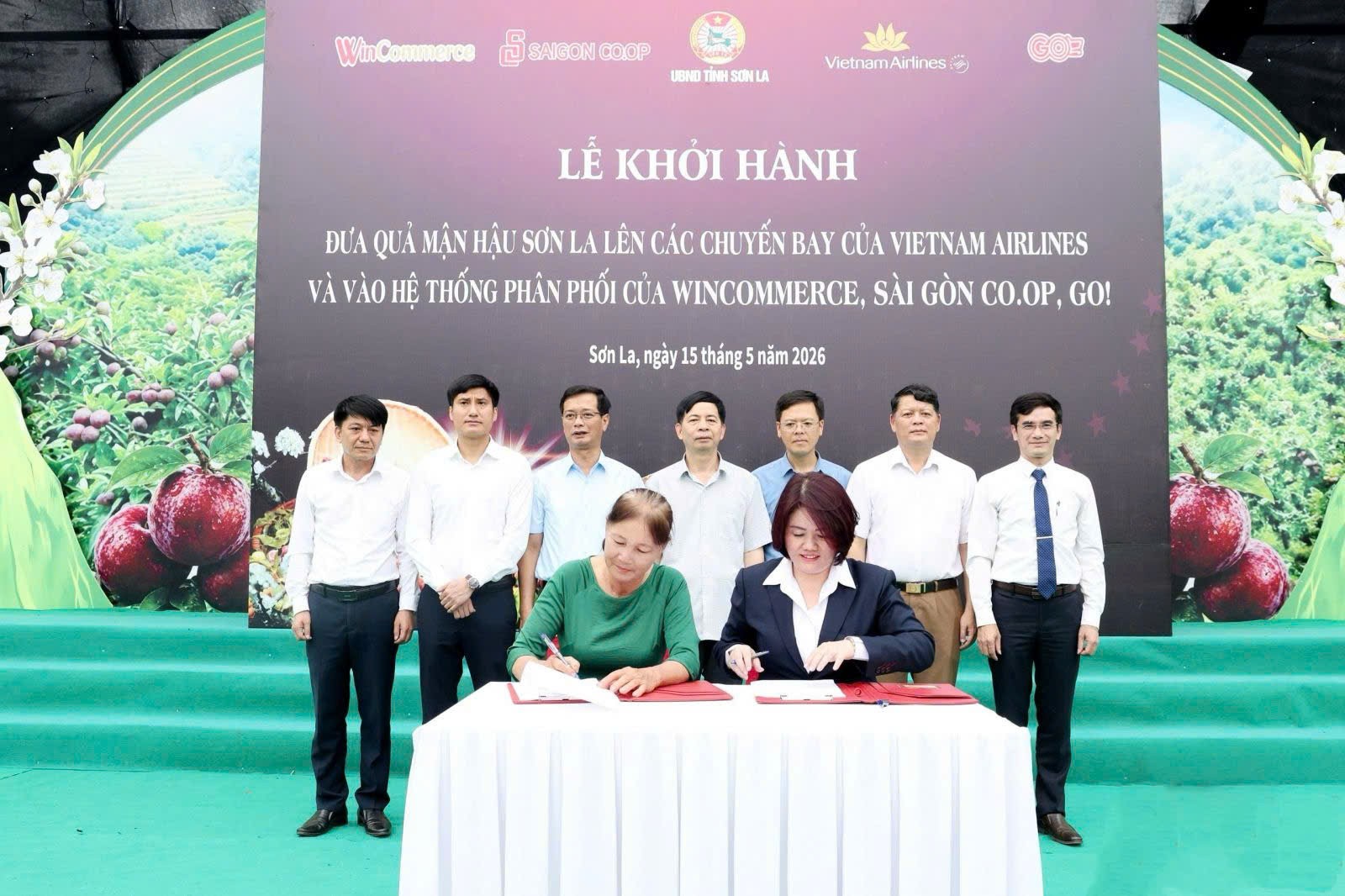 Mận hậu Sơn La “lên mây”, mở rộng đường tiêu thụ