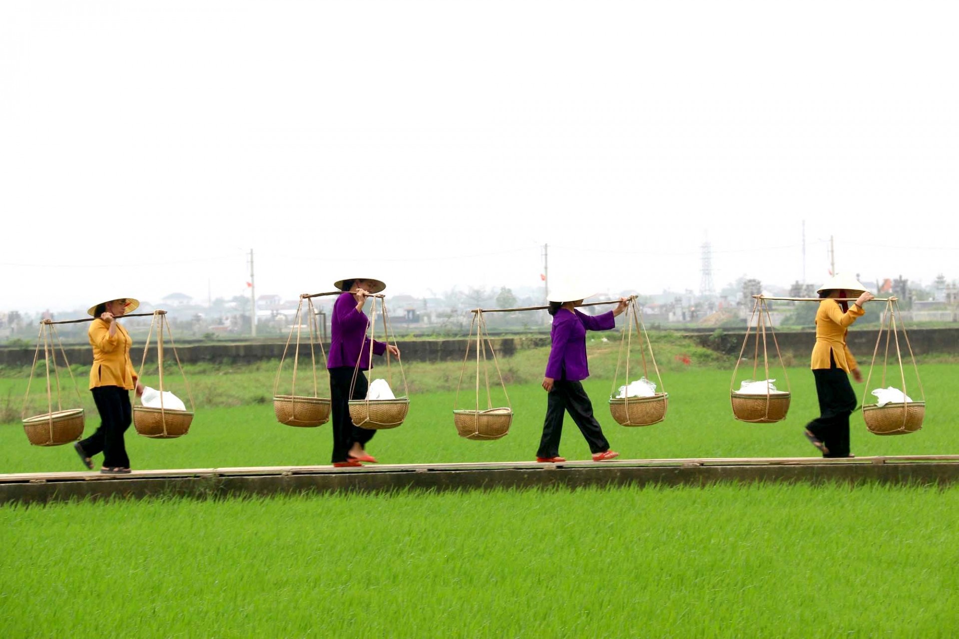 Làng bún hơn 400 tuổi Làng bún hơn 400 tuổi được công nhận là di sản văn hóa quốc gia