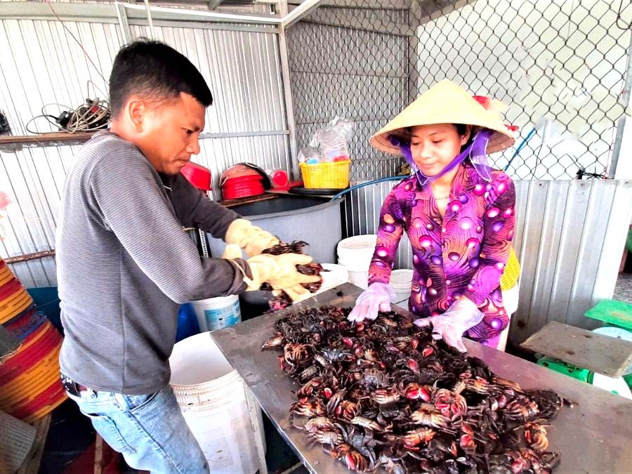 Cà Mau có nhiều nghề truyền thống đặc trưng