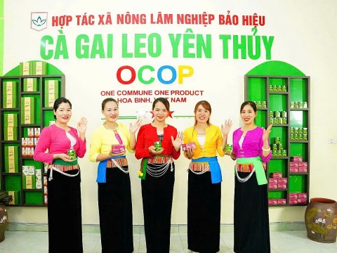 phu tho khi hop tac xa len doi nho so hoa