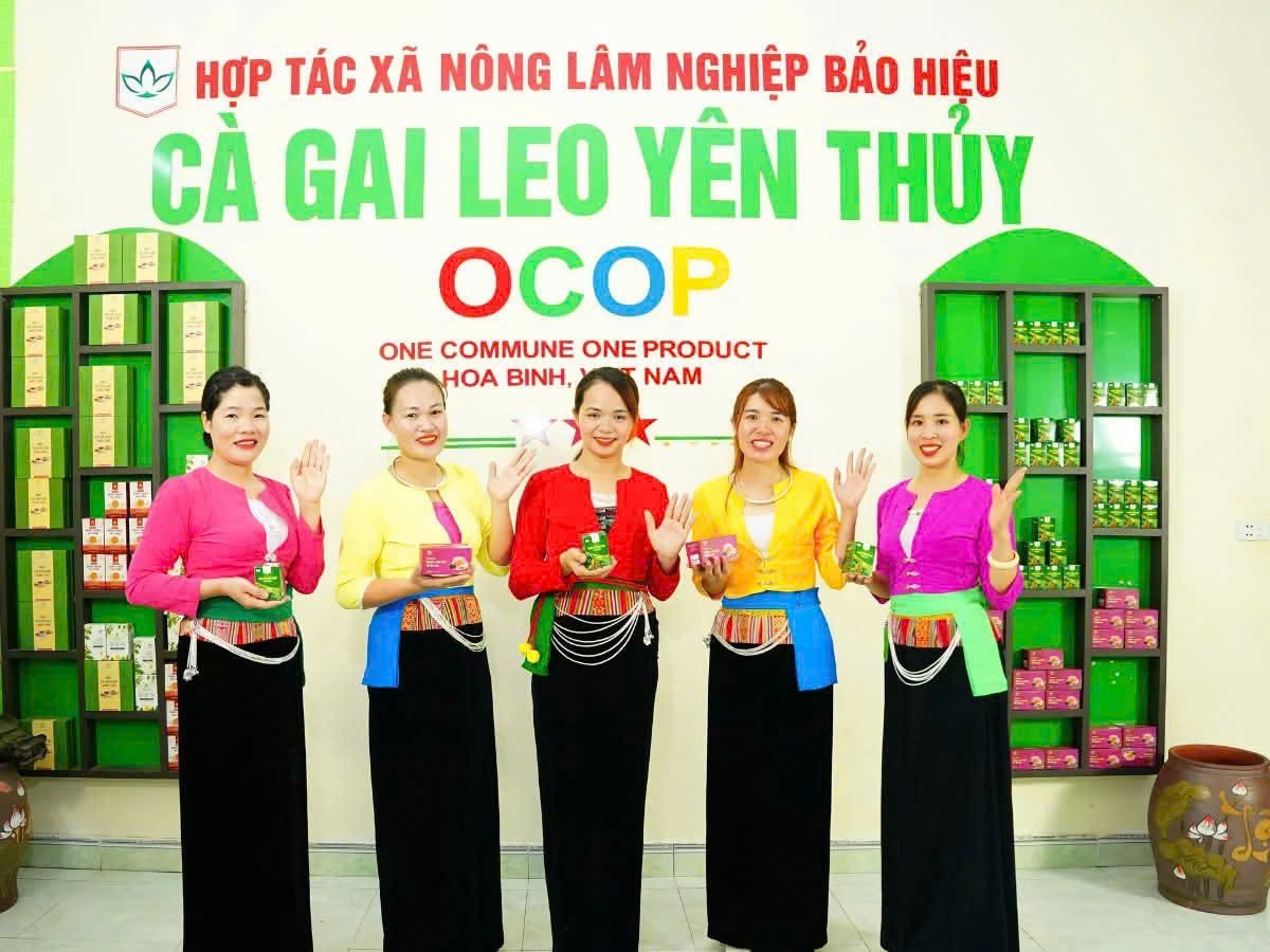 Phú Thọ: Khi hợp tác xã “lên đời” nhờ số hoá Phú Thọ: Khi hợp tác xã “lên đời” nhờ số hoá