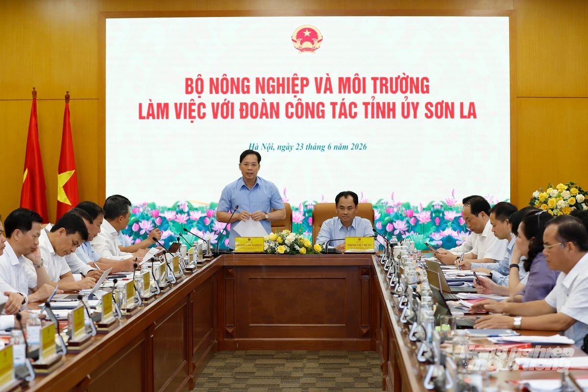 Sơn La xây dựng nền kinh tế bền vững từ nông, lâm nghiệp và dịch vụ
