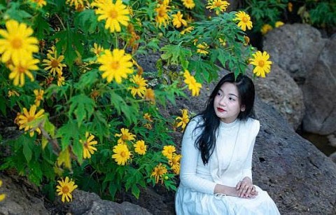 hoa da quy dien bien tiem nang ocop tu mo vang chua duoc khai pha