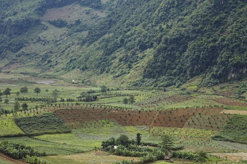 khi cay an qua tro thanh suc bat o xa vung cao pu nhung