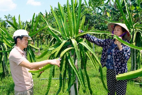 nhung dau tau tren hanh trinh phat trien nong thon khu vuc thuan chau son la