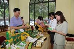 Ninh Bình: Đa dạng các hoạt động mở rộng thị trường và tiêu thụ sản phẩm OCOP