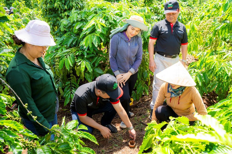 Nông nghiệp tái sinh tạo động lực mới cho ngành cà phê Việt Nam Nông nghiệp tái sinh tạo động lực mới cho ngành cà phê Việt Nam