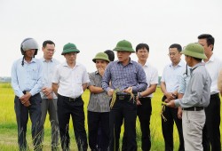 Quảng Trị lựa chọn Lệ Thủy và Cam Lộ xây dựng mô hình nông thôn số giai đoạn 2026- 2030