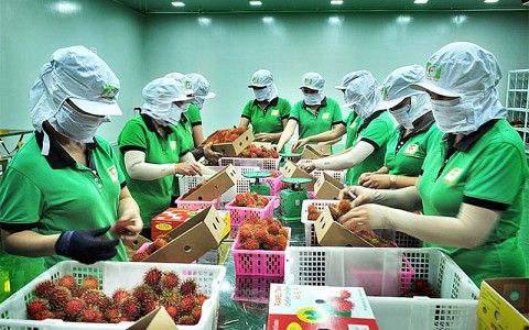 nganh nong nghiep no luc chinh phuc moc xuat khau 100 ty usd