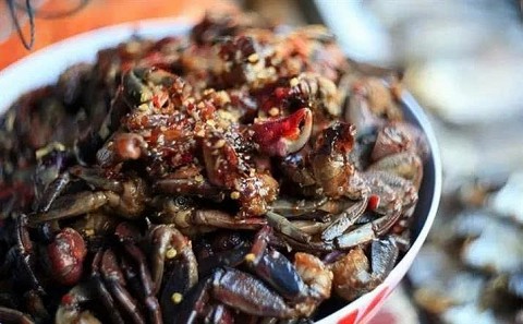 ca mau nhung nghe truyen thong niu giu hon dat cuoi troi