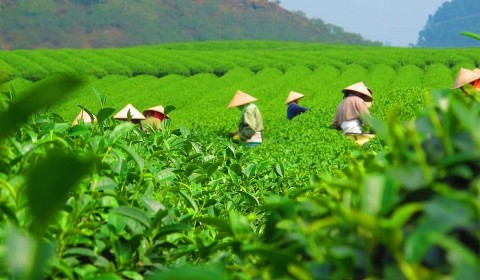 chinh phu ban hanh chinh sach uu dai ve khuyen nong