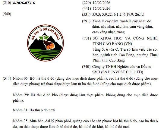 Hà thủ ô đỏ Cao Bằng nâng tầm dược liệu nhãn hiệu chứng nhận Hà thủ ô đỏ Cao Bằng nâng tầm dược liệu nhãn hiệu chứng nhận