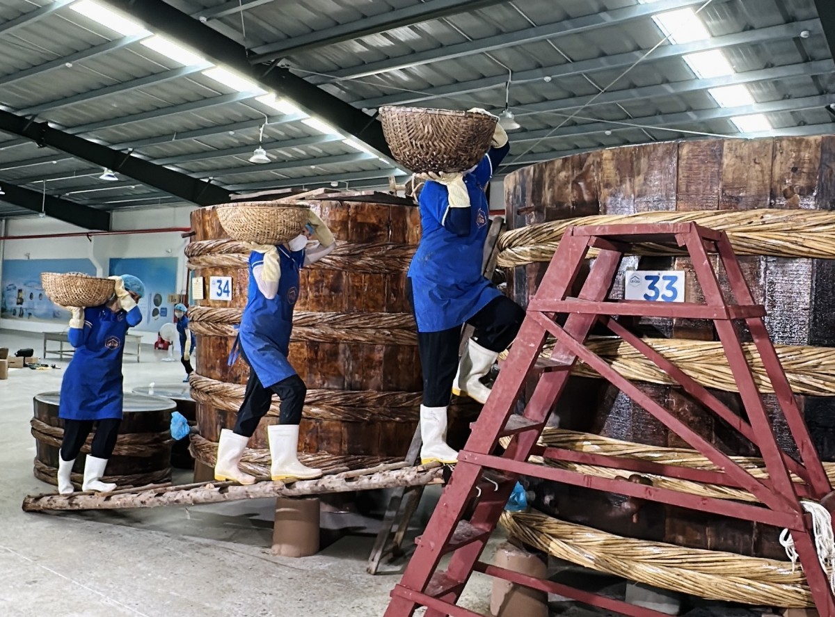 Quy trình làm mắm của Lê Gia đều lấy nguyên liệu tự nhiên, truyền thống; không chất bảo quản, không hương liệu, không tạo màu. Ảnh: Quốc Huy