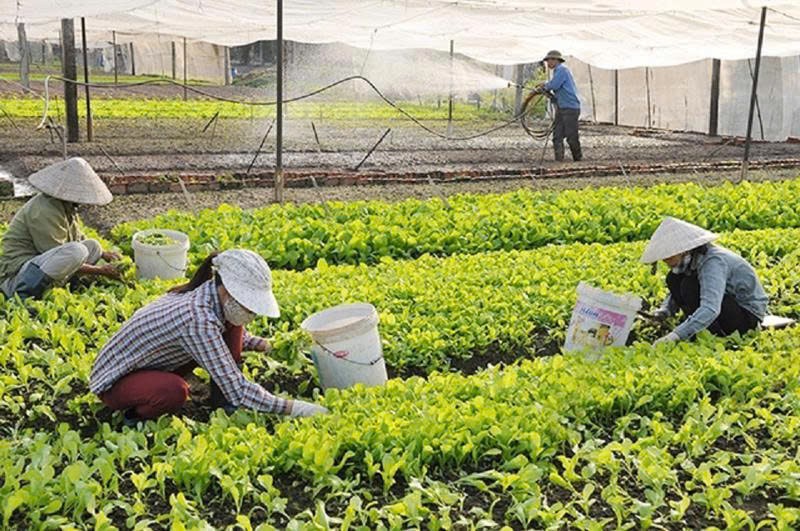 Bốn nguồn vốn vay ưu đãi cho chủ thể OCOP: vay ở đâu, cần điều kiện gì, lãi suất bao nhiêu Bốn nguồn vốn vay ưu đãi cho chủ thể OCOP: vay ở đâu, cần điều kiện gì, lãi suất bao nhiêu