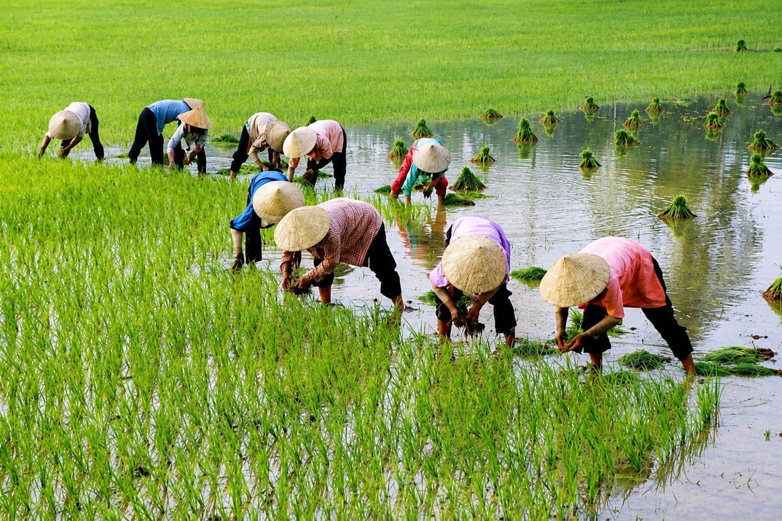 Hà Nội tăng tốc chuẩn hóa, kết nối, ‘làm sạch’ dữ liệu đất đai toàn thành phố