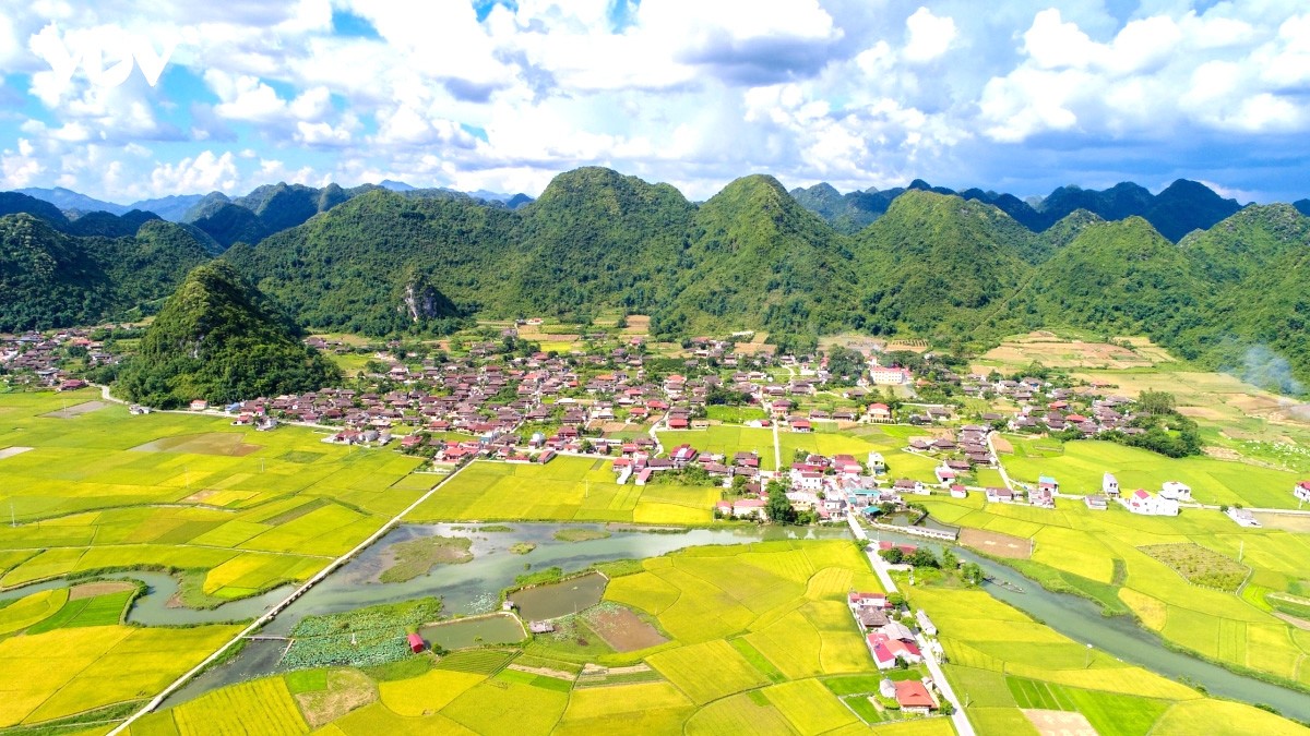 Lạng Sơn: Ươm mùa vàng từ giống mới Lạng Sơn: Ươm mùa vàng từ giống mới