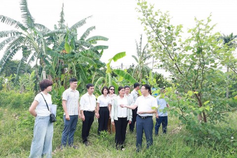 doan cong tac thanh pho kiem tra danh gia san pham ocop tai xa minh chau
