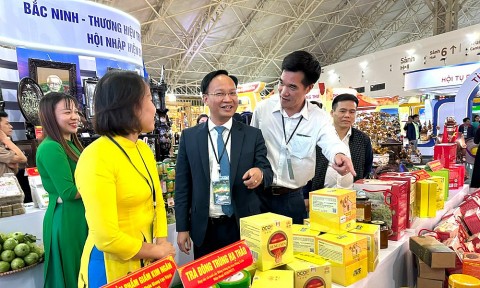 bac ninh day manh ky nang so mo rong co hoi kinh doanh truc tuyen cho doanh nghiep va nguoi dan