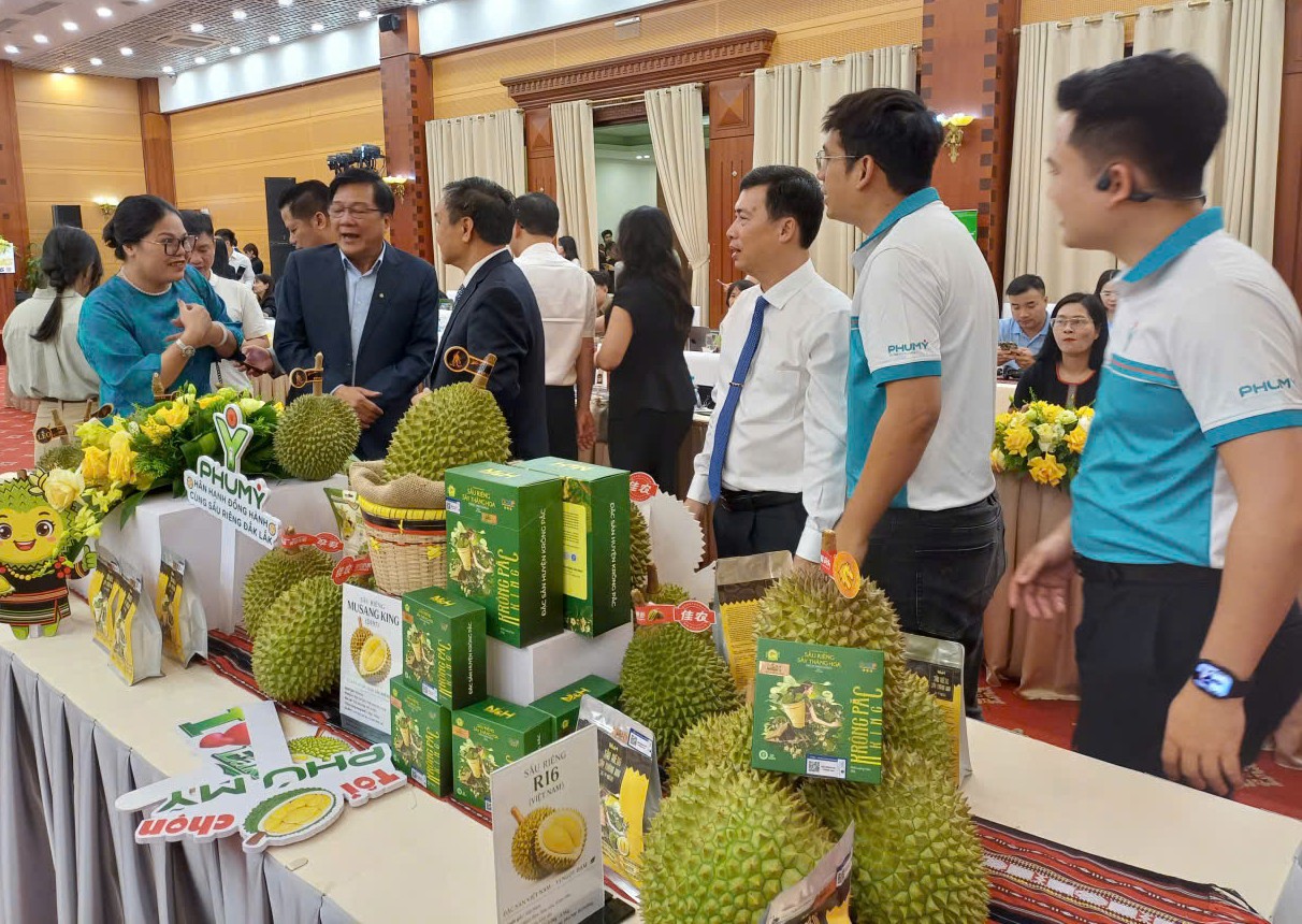 Quảng bá, giới thiệu sản phẩm sầu riêng Đắk Lắk tại Hà Nội Quảng bá, giới thiệu sản phẩm sầu riêng Đắk Lắk tại Hà Nội