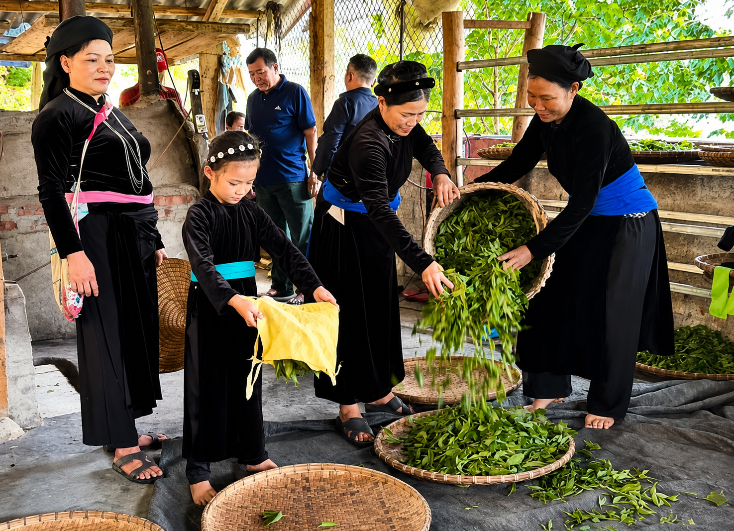HTX Trồng và Chế biến chè Thanh Thủy tạo việc làm thường xuyên cho 6 lao động, cùng 15 lao động thời vụ trong các đợt cao điểm thu hái