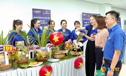 tim kiem nhung du an khoi nghiep tre tu cuoc thi doi moi sang tao da nang 2026