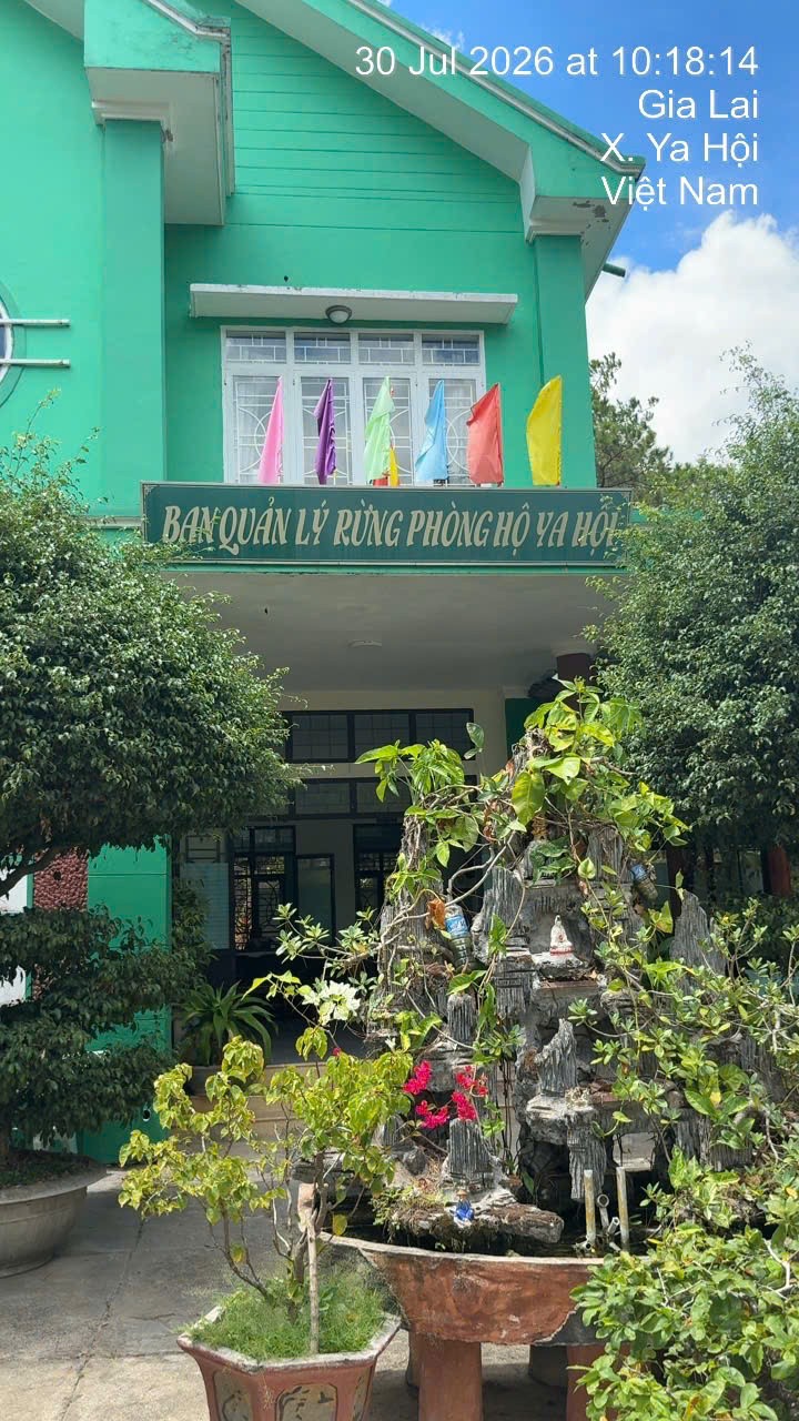 Trụ sở Ban Quản lý rừng phòng hộ Ya Hội - đơn vị thực hiện nhiệm vụ quản lý, bảo vệ và phát triển rừng trên địa bàn. Trụ sở Ban Quản lý rừng phòng hộ Ya Hội - đơn vị thực hiện nhiệm vụ quản lý, bảo vệ và phát triển rừng trên địa bàn.