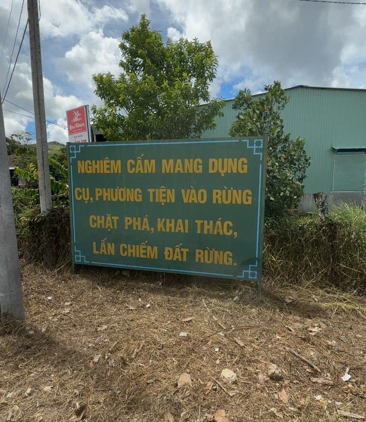 Ya Hội: Khi cánh rừng mang lại sinh kế và niềm tin Ya Hội: Khi cánh rừng mang lại sinh kế và niềm tin