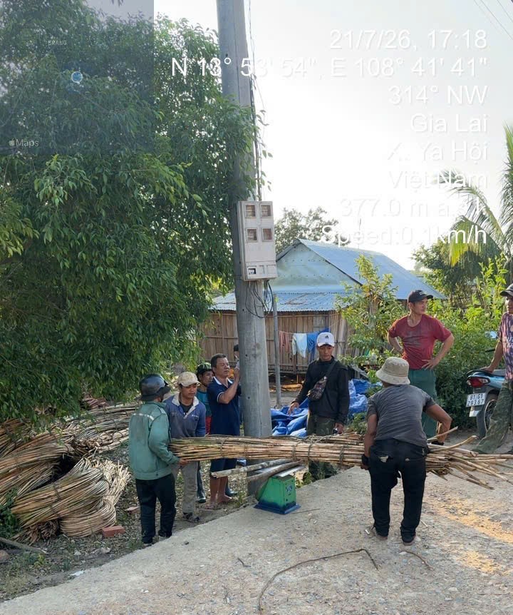 Ya Hội: Khi cánh rừng mang lại sinh kế và niềm tin Ya Hội: Khi cánh rừng mang lại sinh kế và niềm tin