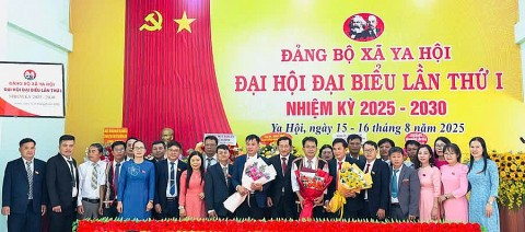 ya hoi khi canh rung mang lai sinh ke va niem tin