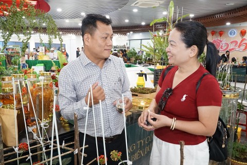 chien luoc dua sam ngoc linh thoat mac gia tren troi