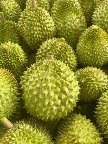 vuot bao kiem dich dinh vi chuoi gia tri sau rieng loi giai tu mang loc 3 lop cua dong phuong hong
